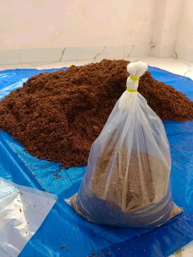 Sustainable Shiitake Mushroom Cultivation: Promoting Women-Led Livelihoods through Science and Technology